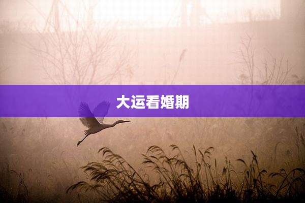 大运看婚期