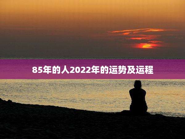 85年的人2022年的运势及运程