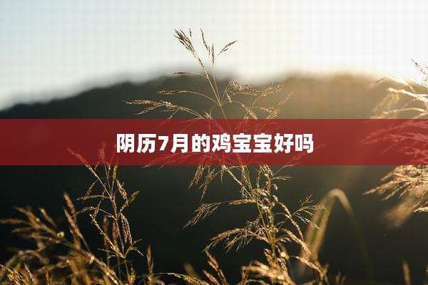 阴历7月的鸡宝宝好吗