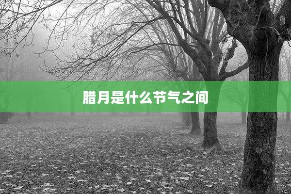 腊月是什么节气之间