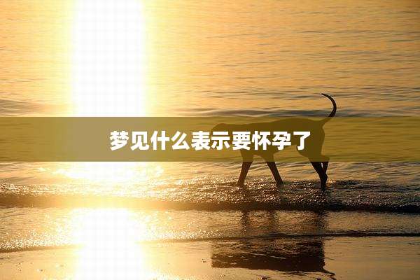 梦见什么表示要怀孕了
