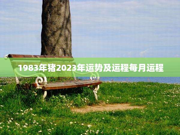 1983年猪2023年运势及运程每月运程