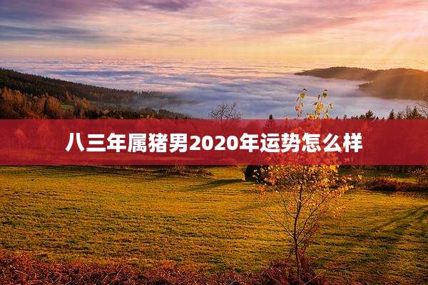 八三年属猪男2020年运势怎么样