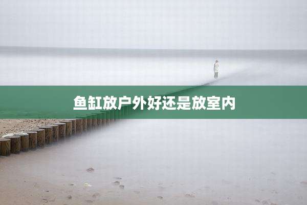 鱼缸放户外好还是放室内