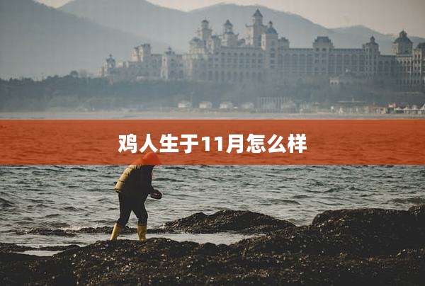 鸡人生于11月怎么样