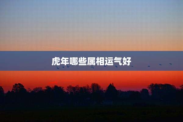 虎年哪些属相运气好