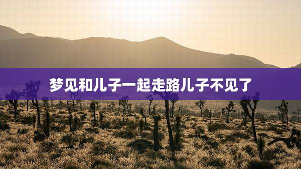 梦见和儿子一起走路儿子不见了