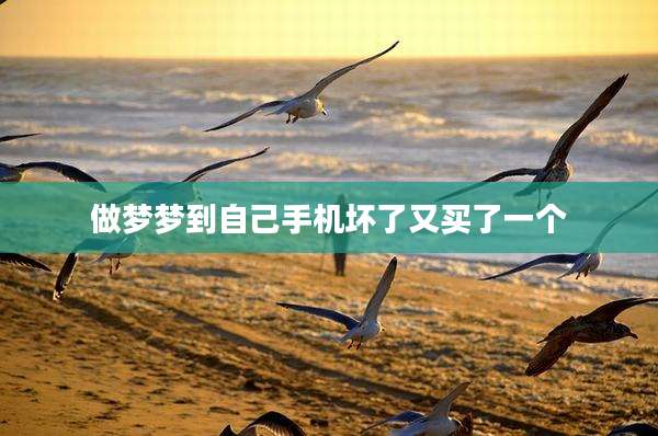 做梦梦到自己手机坏了又买了一个