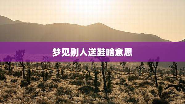 梦见别人送鞋啥意思