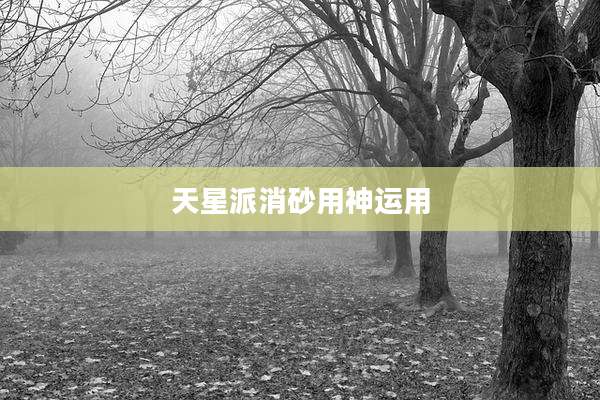 天星派消砂用神运用