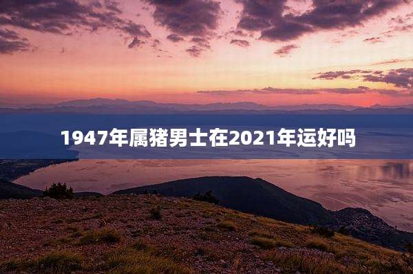 1947年属猪男士在2021年运好吗