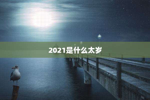 2021是什么太岁