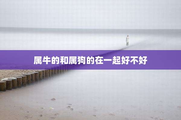 属牛的和属狗的在一起好不好
