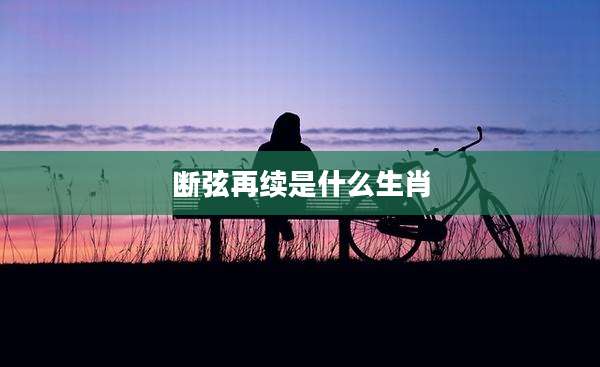 断弦再续是什么生肖
