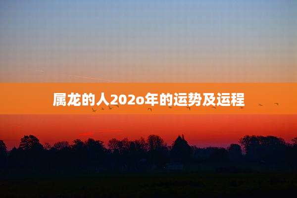 属龙的人202o年的运势及运程