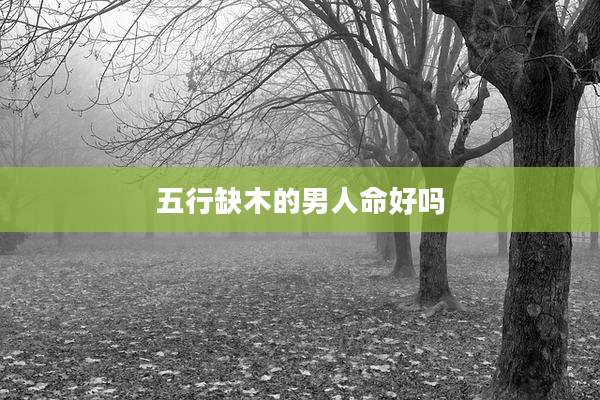 五行缺木的男人命好吗