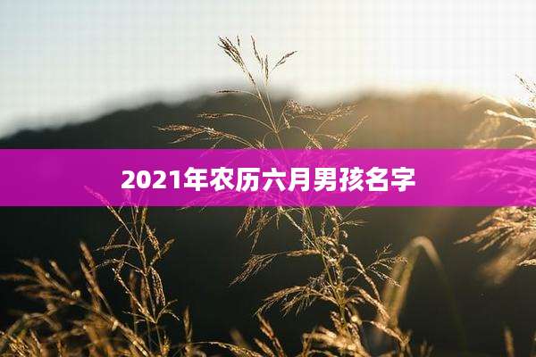 2021年农历六月男孩名字