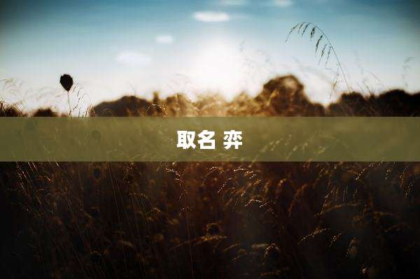 取名 弈