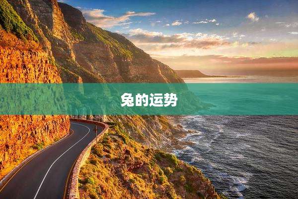 兔的运势