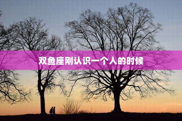 双鱼座刚认识一个人的时候