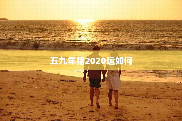 五九年猪2020运如何