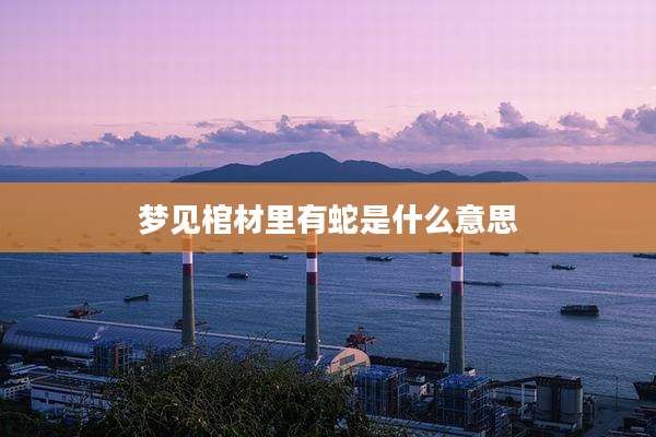 梦见棺材里有蛇是什么意思