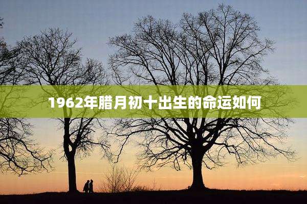 1962年腊月初十出生的命运如何