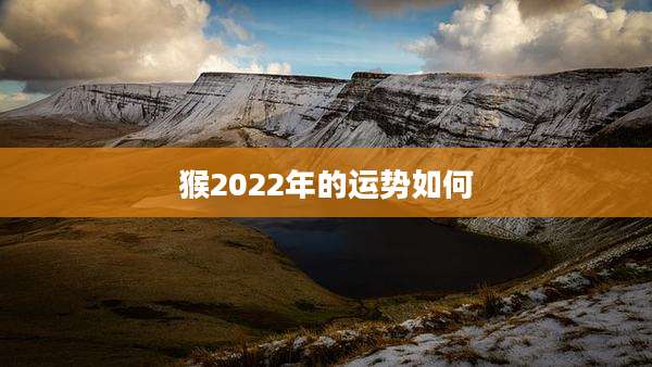 猴2022年的运势如何