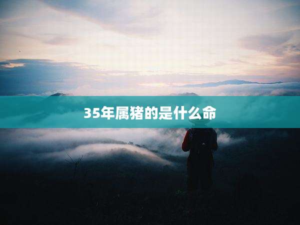 35年属猪的是什么命
