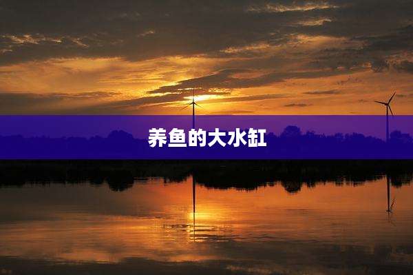 养鱼的大水缸