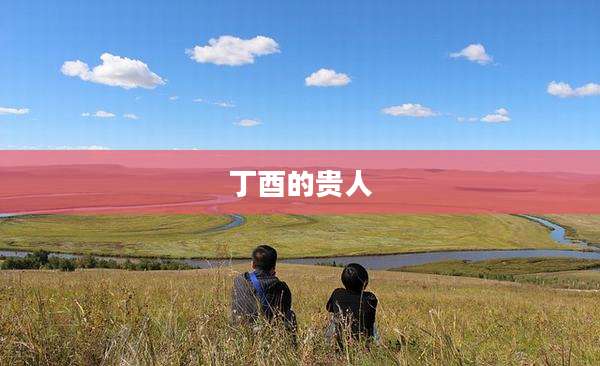 丁酉的贵人