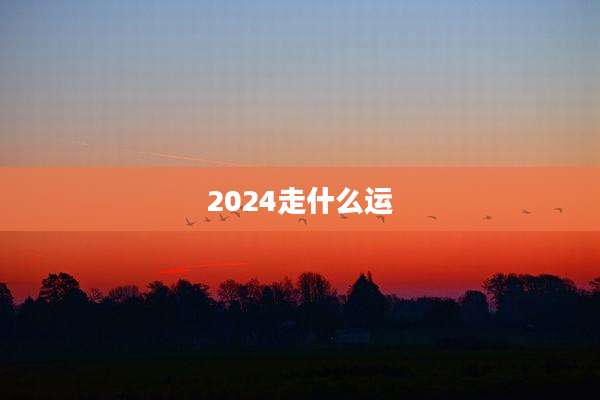 2024走什么运