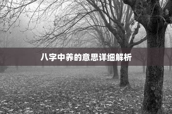 八字中养的意思详细解析