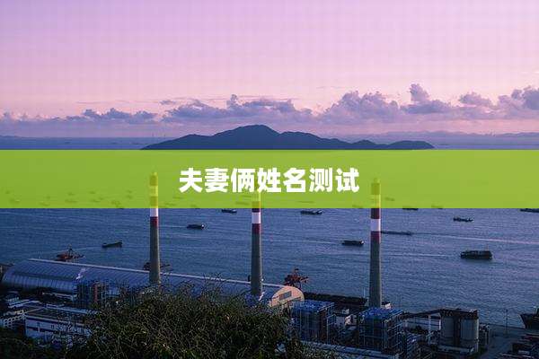 夫妻俩姓名测试