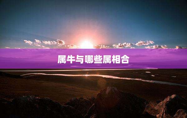 属牛与哪些属相合