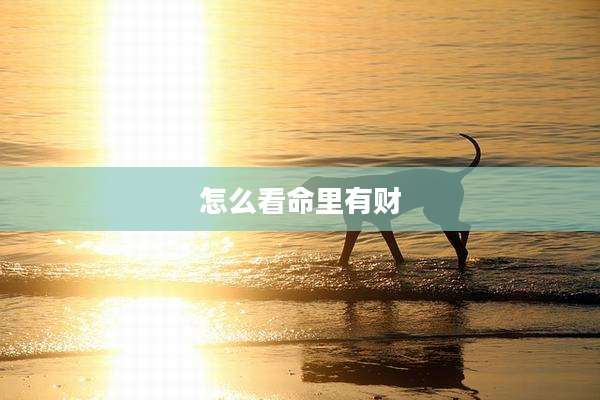 怎么看命里有财