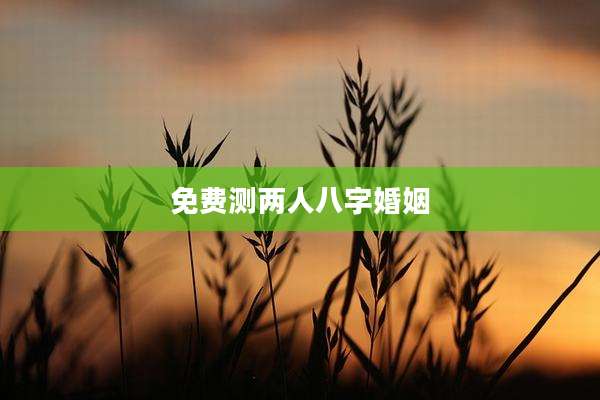 免费测两人八字婚姻
