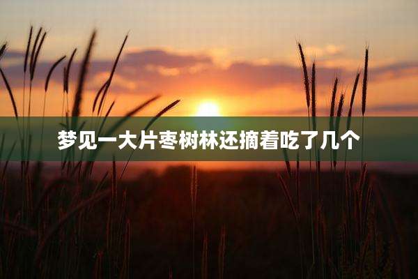 梦见一大片枣树林还摘着吃了几个