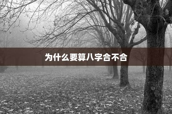 为什么要算八字合不合
