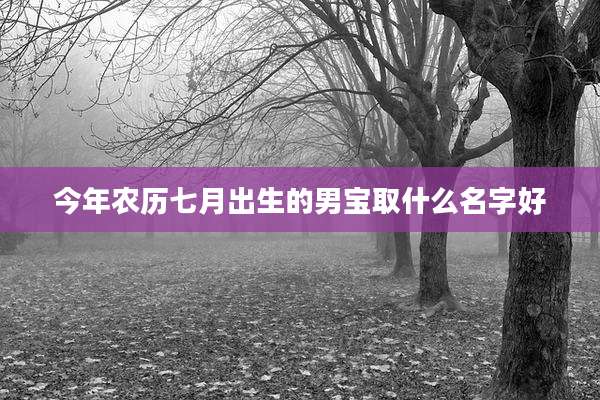 今年农历七月出生的男宝取什么名字好
