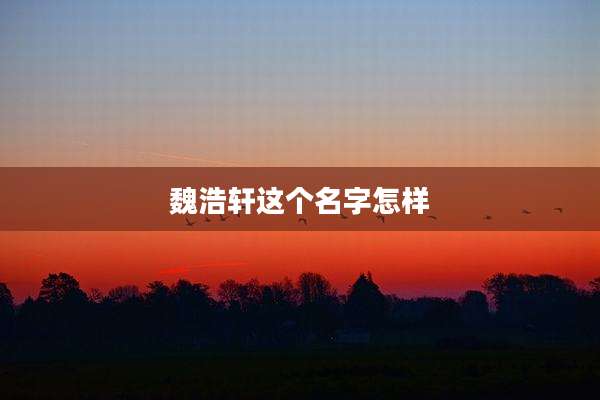 魏浩轩这个名字怎样