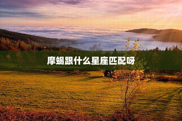摩蝎跟什么星座匹配呀