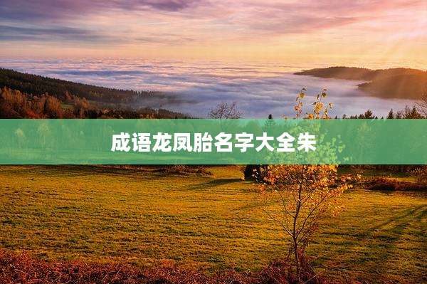 成语龙凤胎名字大全朱