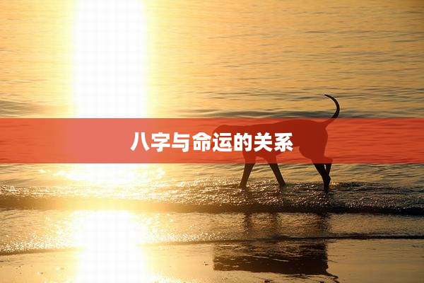八字与命运的关系