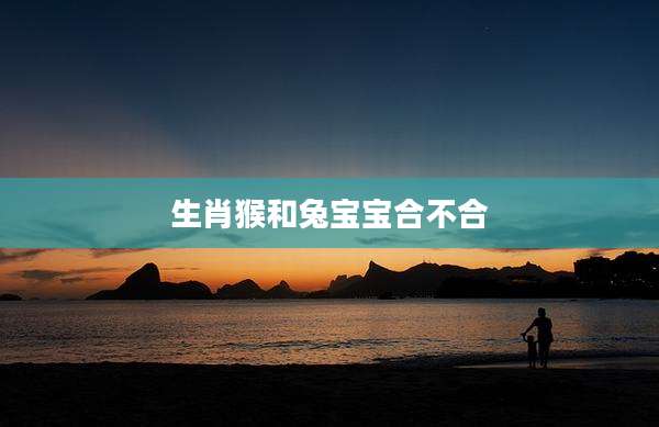 生肖猴和兔宝宝合不合