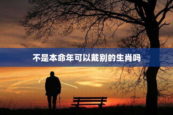 不是本命年可以戴别的生肖吗