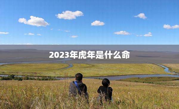 2023年虎年是什么命