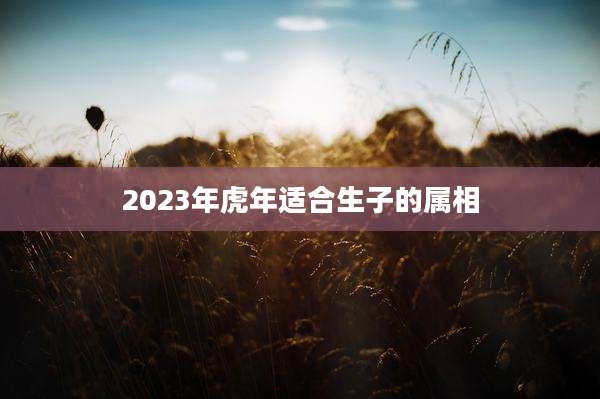 2023年虎年适合生子的属相