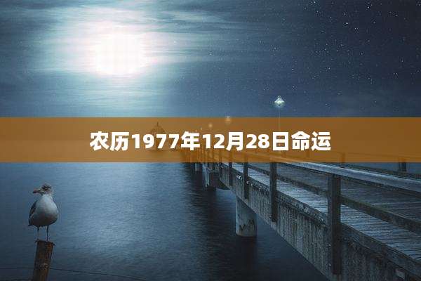 农历1977年12月28日命运