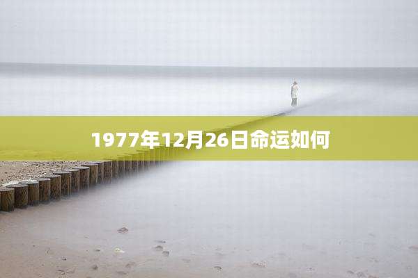 1977年12月26日命运如何